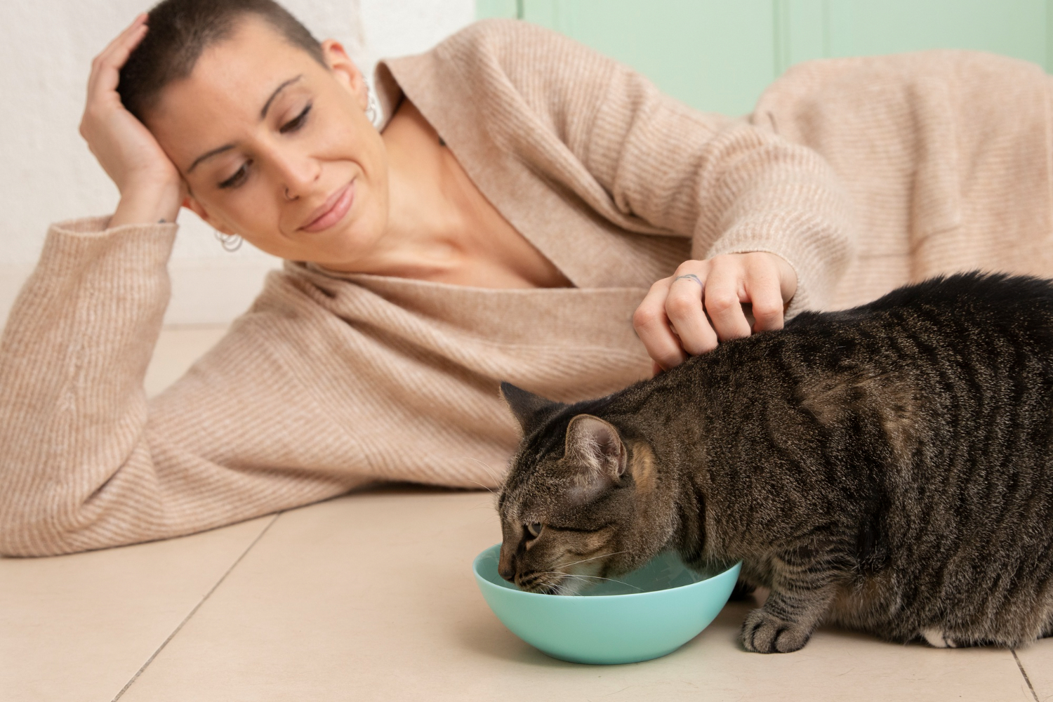 chat qui mange